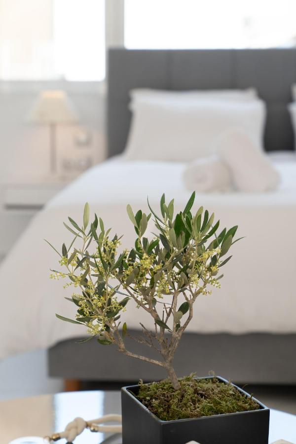 Olvar Suites Atenas Exterior foto